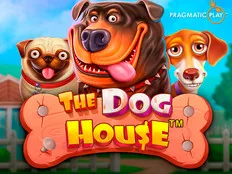 Vodka Casino The Dog House